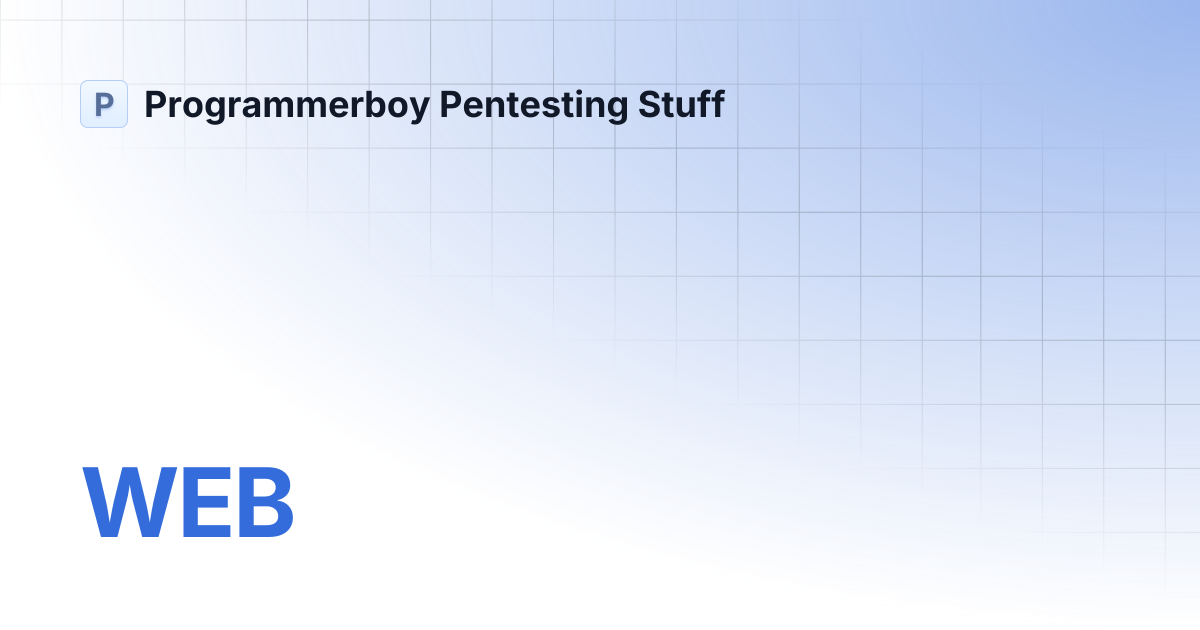 Web programmerboy pentesting stuff